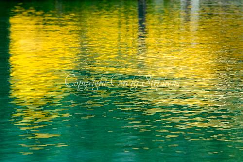 Pops of yellows and greens as seen in Alaskan coastal waters
