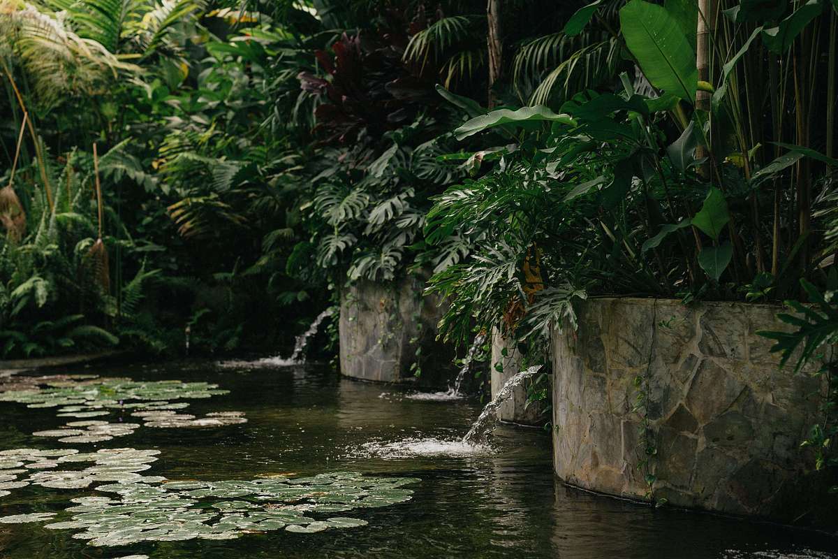 Photographer capturing engagement at Nayara Springs Costa Rica