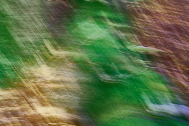 Abstracte natuurfotografie (4 juli 2026)