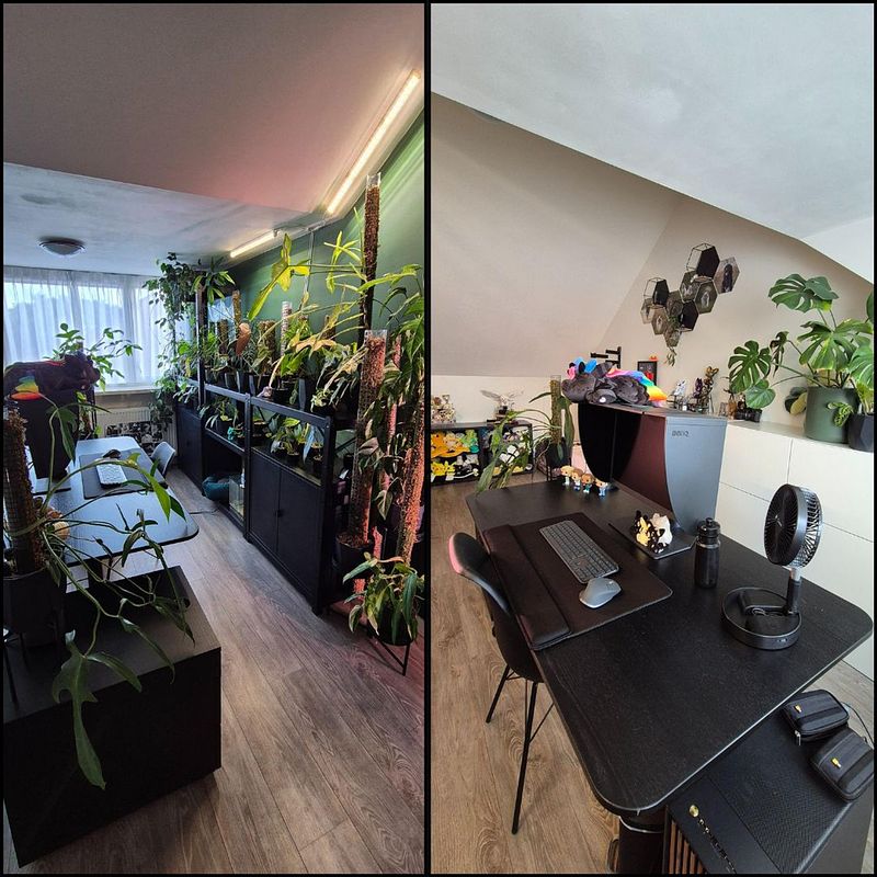 Mijn droomkantoor als huisdierenfotograaf