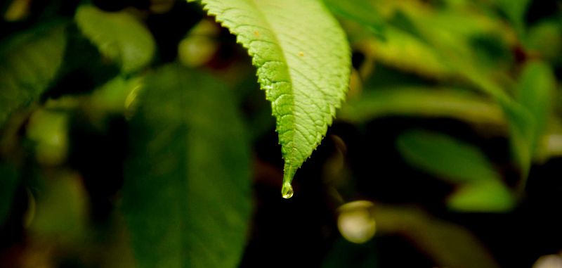 Finding Magical Beauty in the Ordinary