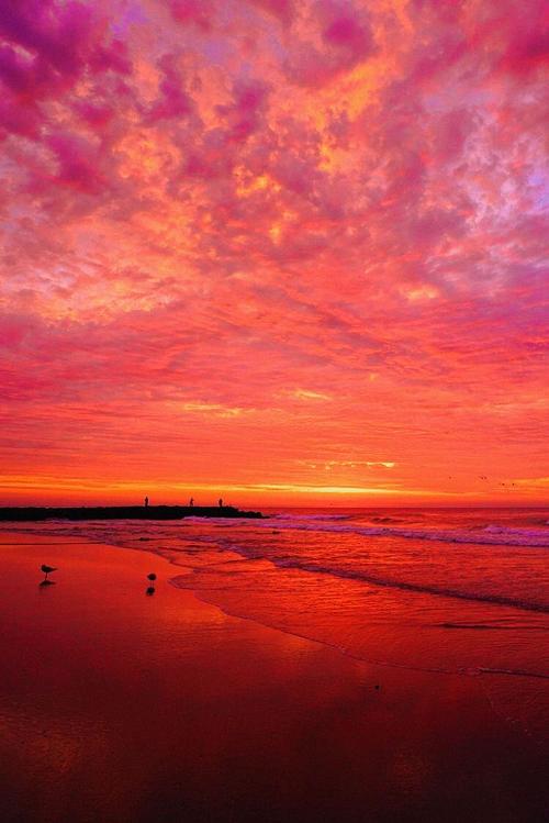 Scarlet Sky