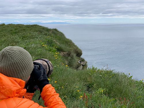 Mein Bezug zur Wildtierfotografie