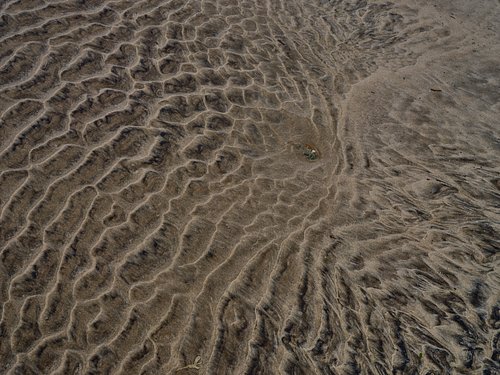 Scouting trip voor Denemarken/Jutland