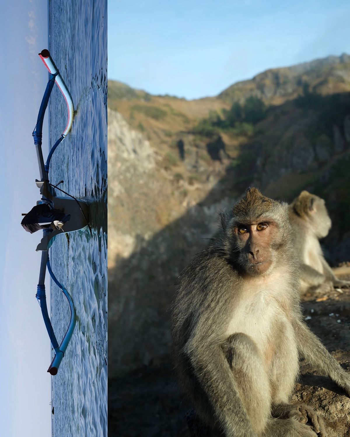 Collage of a boat on the water in Bali and monkey captured while hiking Mt. Batur