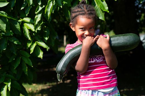 BETHEL IM HEKS-GARTEN