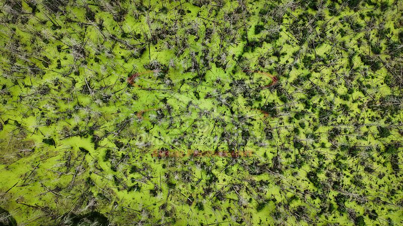 Hudson Valley Aerial Photography