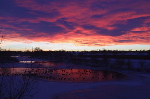WOLFE PHOTOGRAPHY