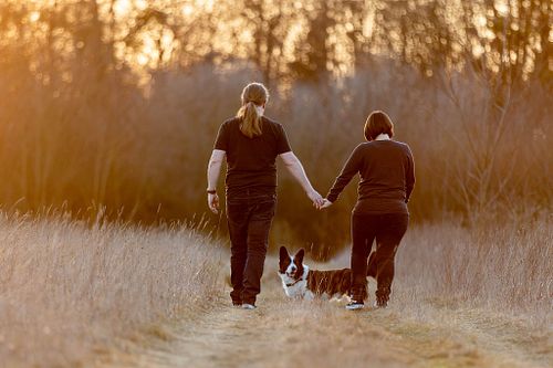 Natürlich dürft ihr auch mehr Bilder auswählen.