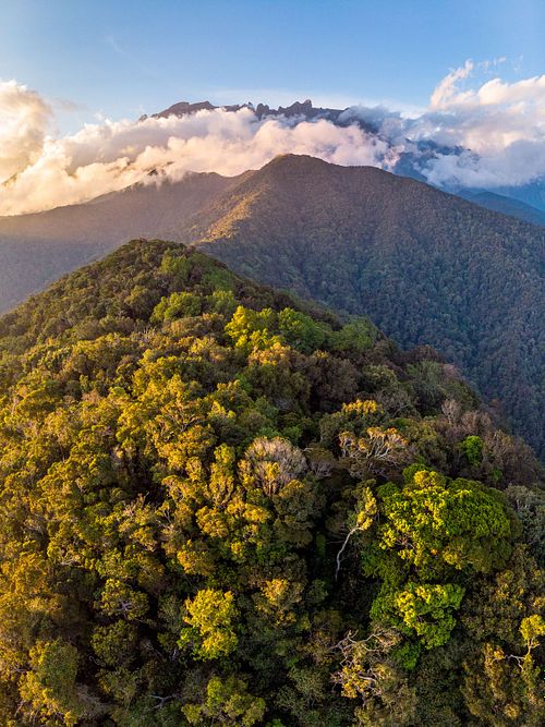Einzigartig auf der Welt