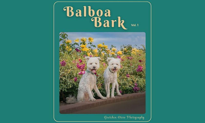 Balboa Bark - 8.5 x 11 Hardcover Coffee Table Book