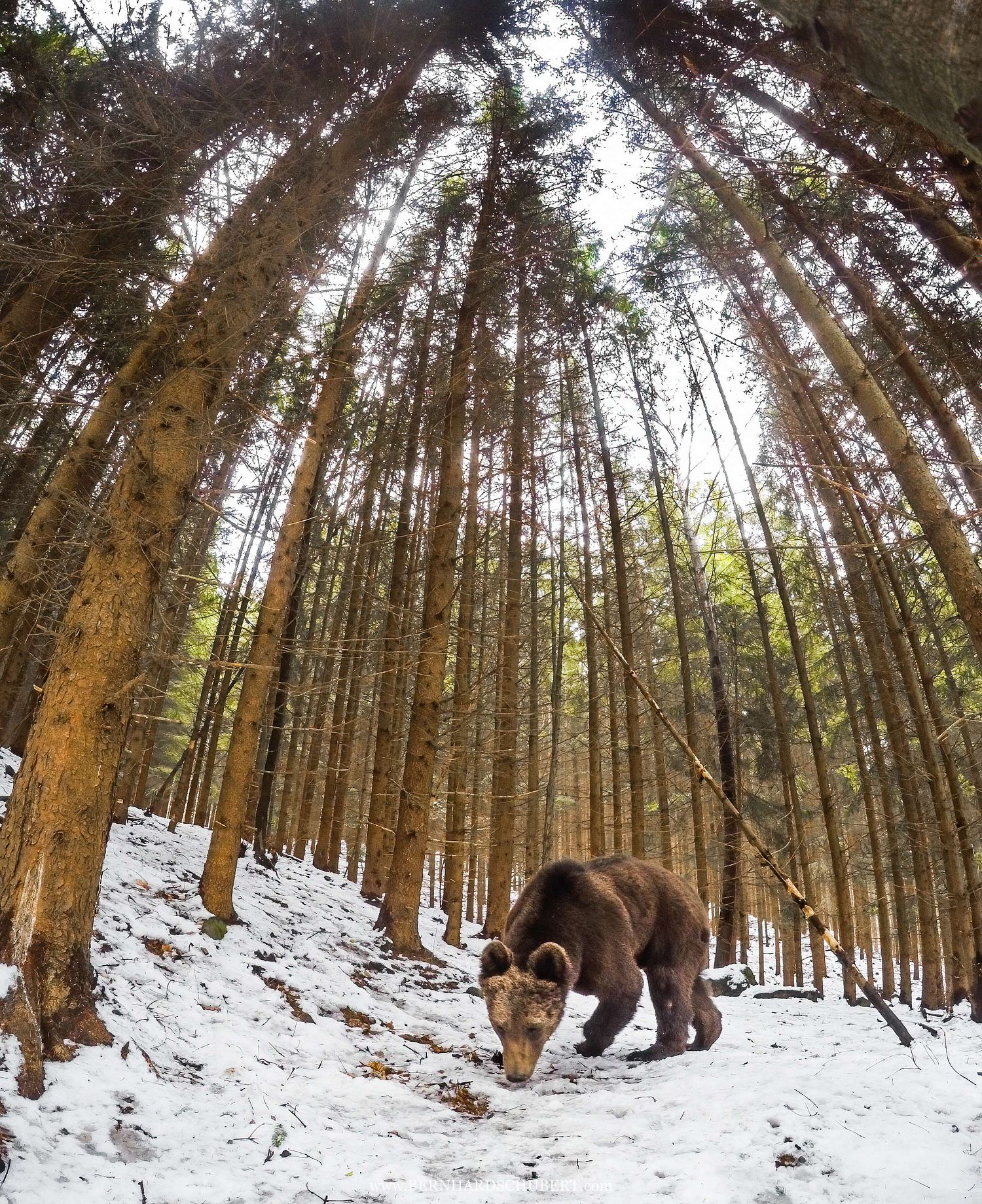 Following the track