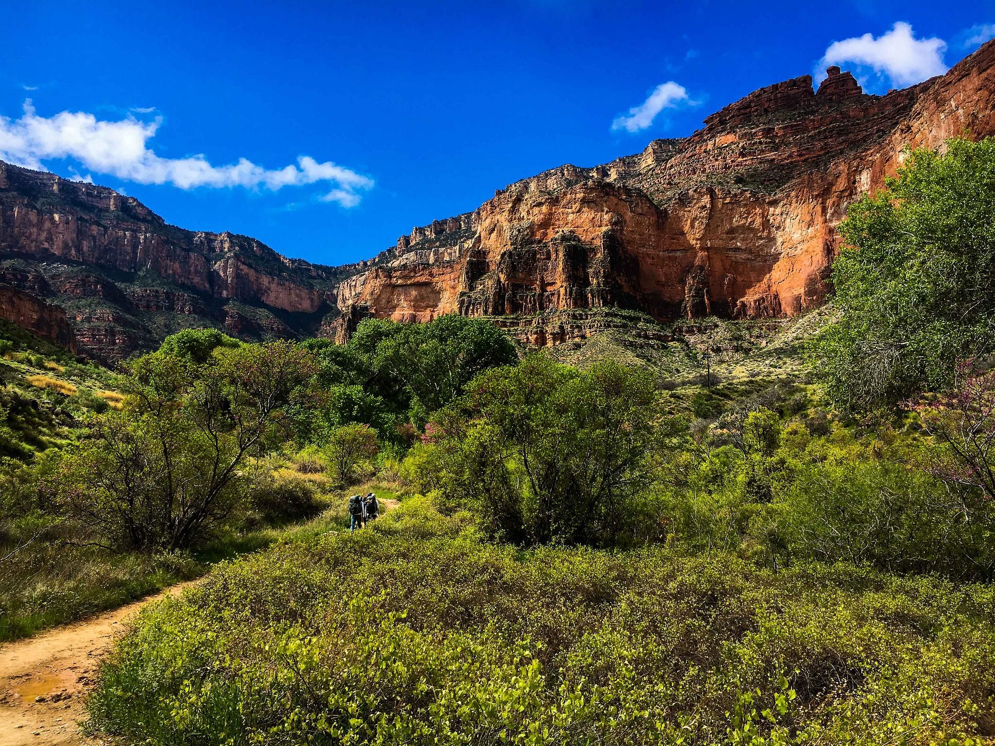 Nature & Landscapes