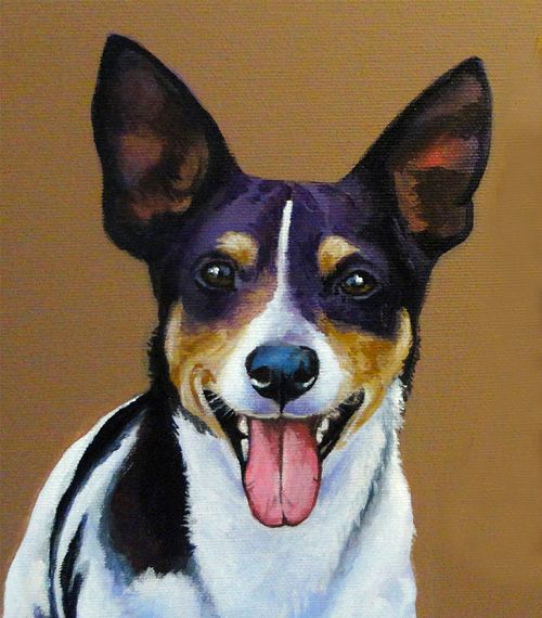 Jack Russell dog portrait with lively and intelligent eyes