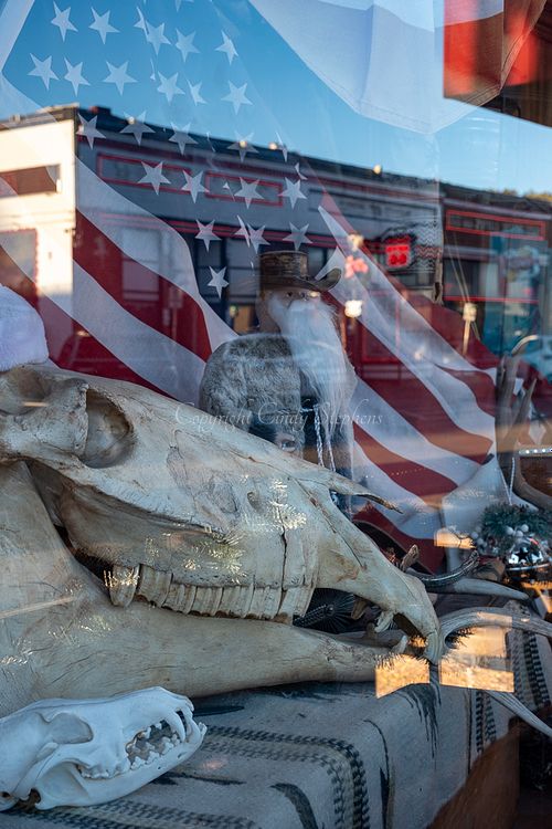 Large and small skulls with American flag, and historic Route 66 along main street