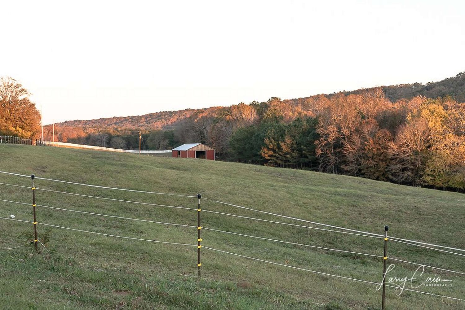 Toledo Landscape, Wildlife. Architecture and Pet Photography