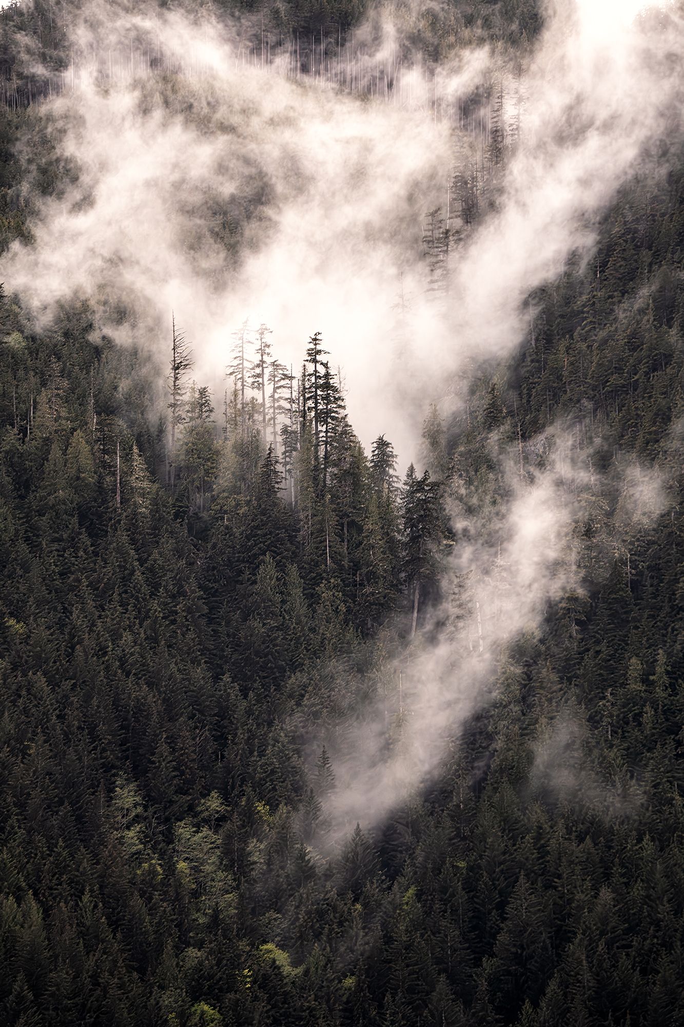Eric Bloemers Photography