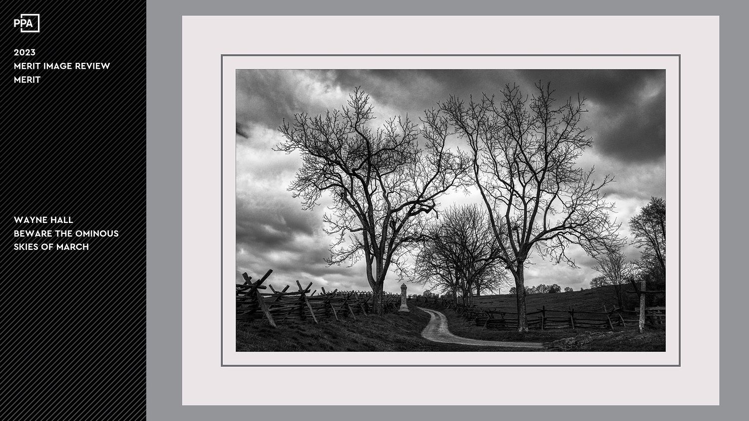 WALL Photography & Design