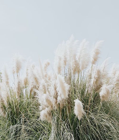 Endless Possibilities