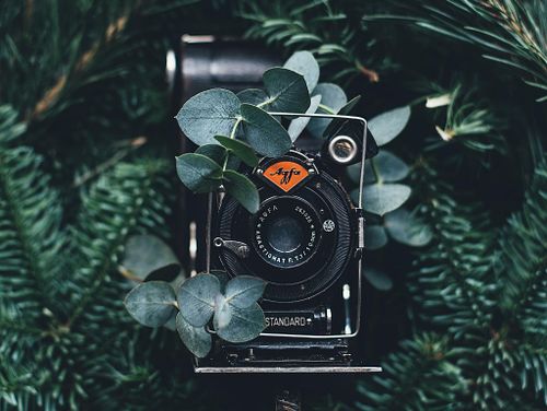 Green Story