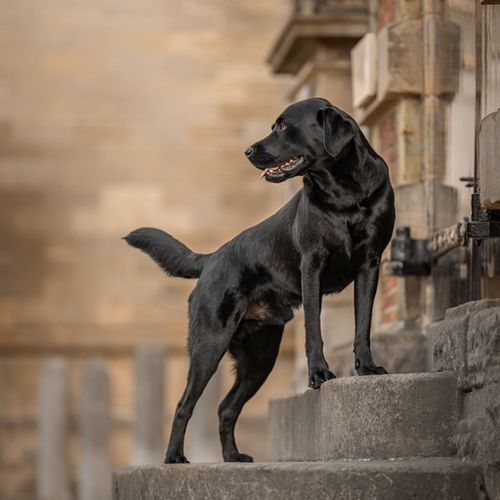 Een fotoshoot boeken