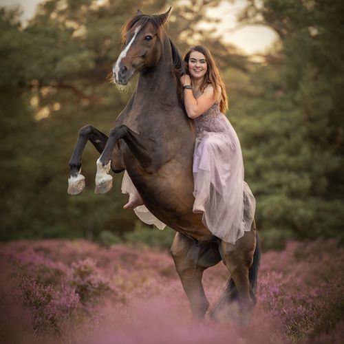 Waarom paardenfotografie?