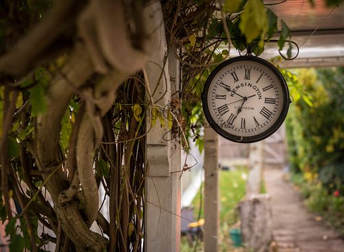A charming old Kensington clock surrounded by a beautiful vine tree, captured by Weddings By Jermaine.
