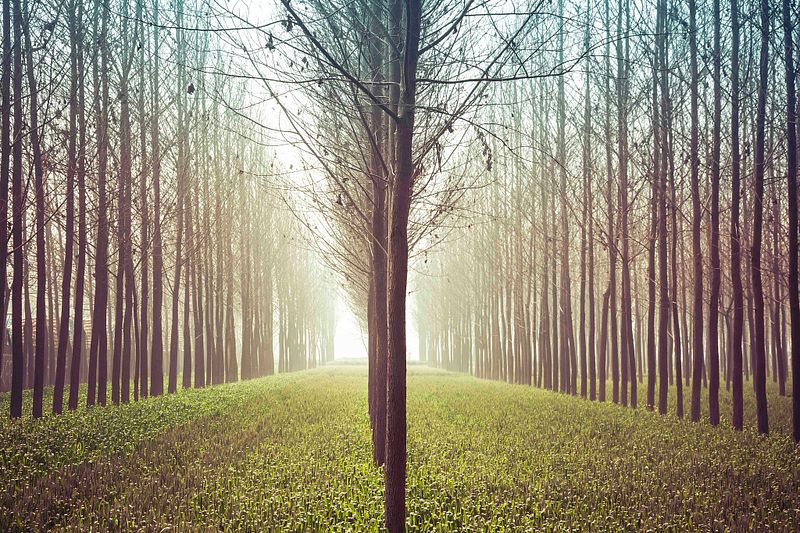 Let's Reinvigorate Your Passion