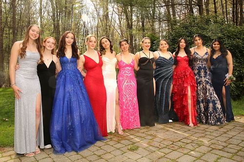 Large group of high school girls are posing in prom dresses