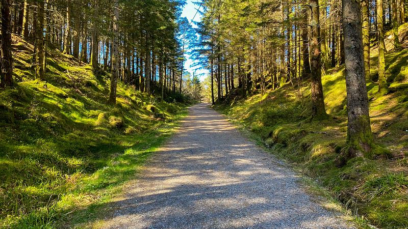 Måndag 7. oktober er studioet stengt