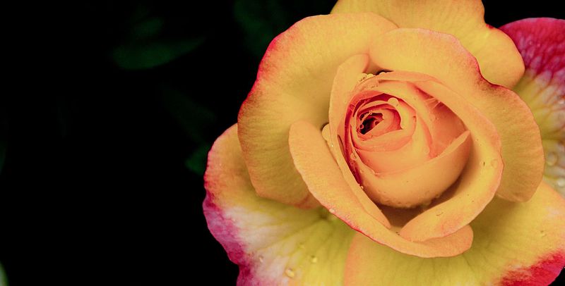 Art of Intuitive Photography: Shoot When You Feel