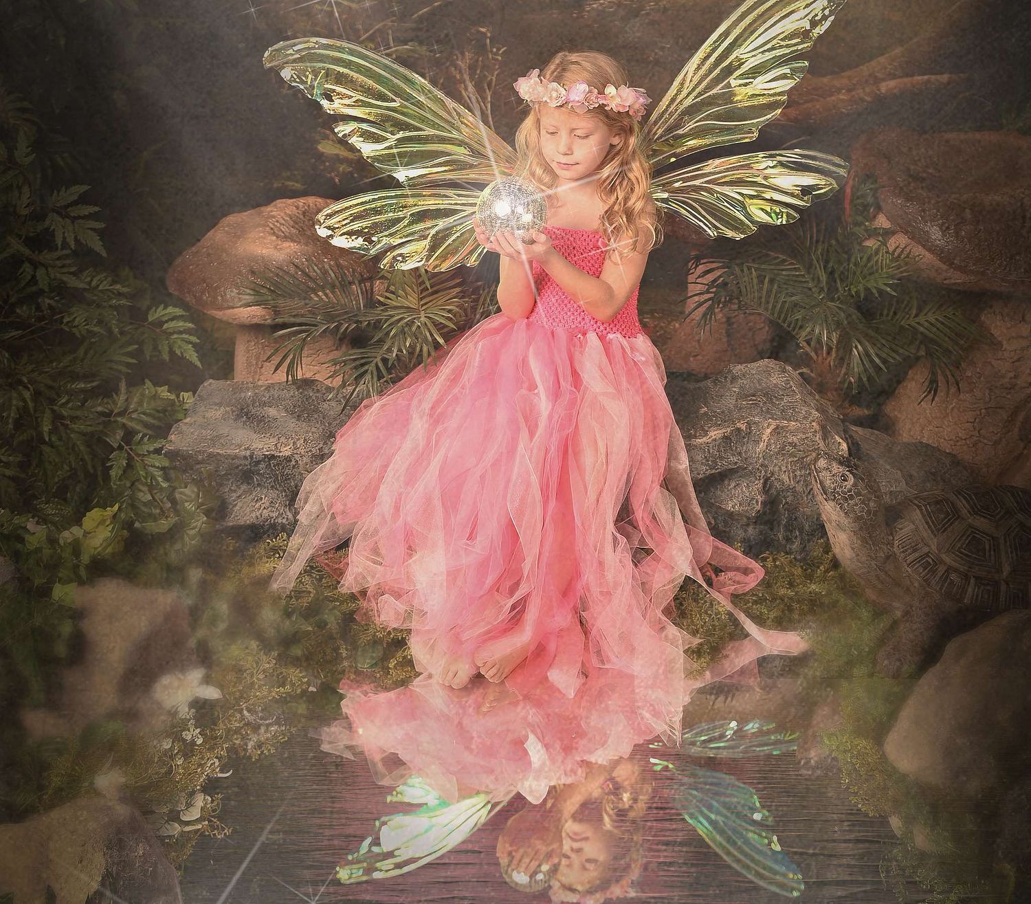 McGillycuddy Artography