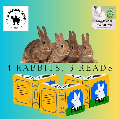 Four Rabbits, Three Reads