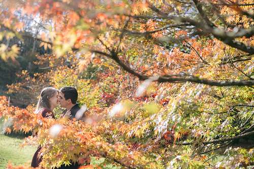 Pre-Wedding Portraits at Nooroo Garden