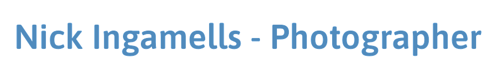 Site Logo