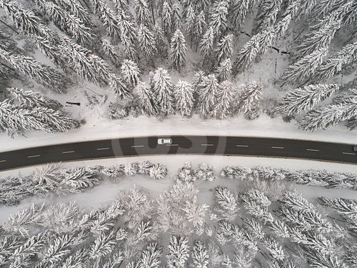 Schwarzwald im Winter