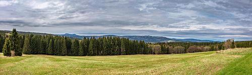 Étendue herbeuse avec ciel nuageux.