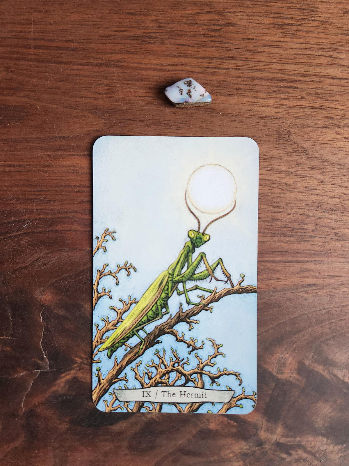 Boulder Opal & The Hermit Card