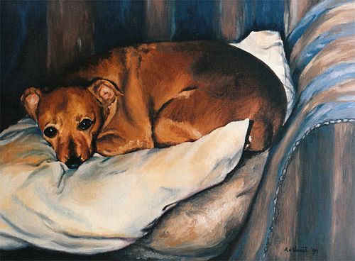 iniature Pinscher dog portrait with sharp and expressive gaze