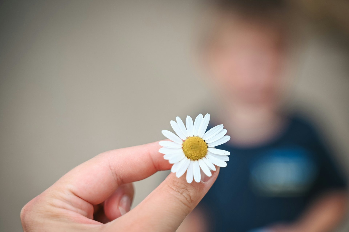 Bloemenfotografie
