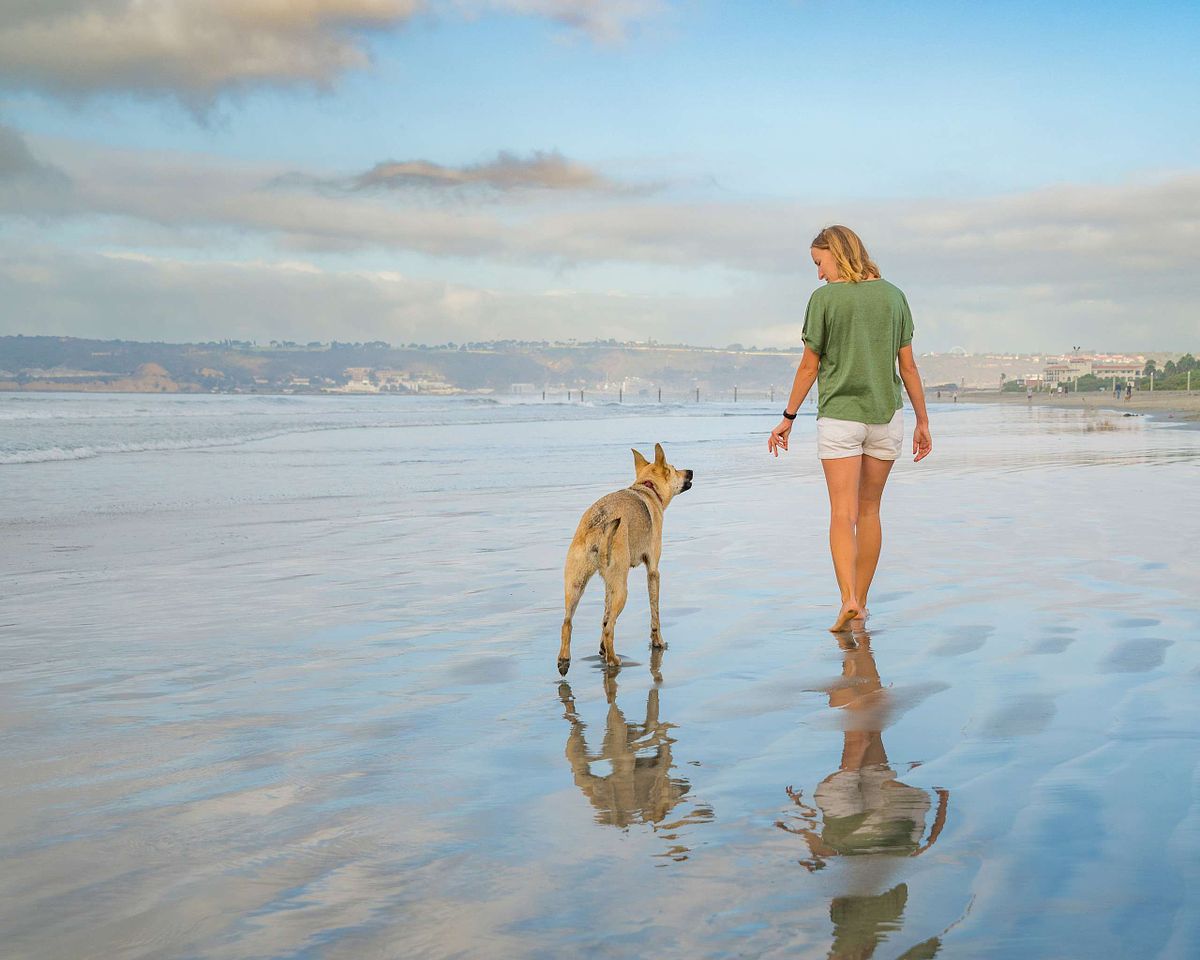 dog photographer san diego