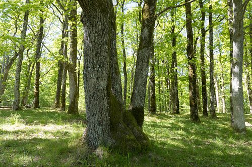 Im Nationalpark Jomfruland