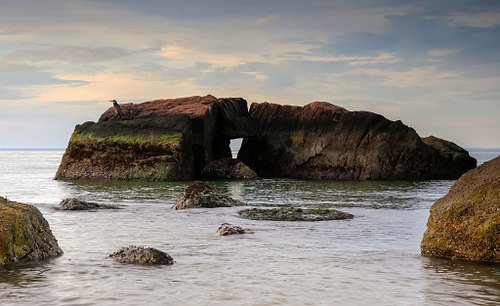 Heron on offshore rocks in tranquil sea.