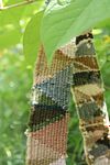 mossy boulder bag