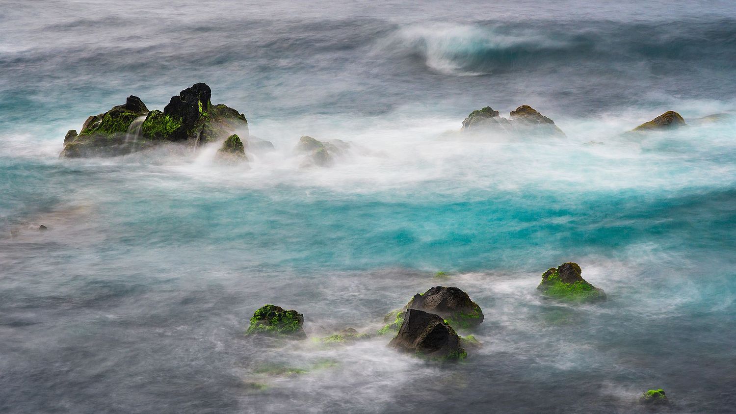 nanette kardaszeski fine photography