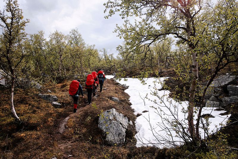 Mammut Sarek Nationalpark