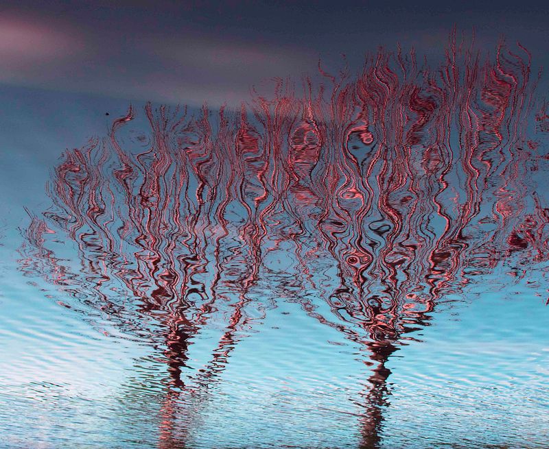 MEMORIAS DEL AGUA - Tigre, Bs.As., Argentina