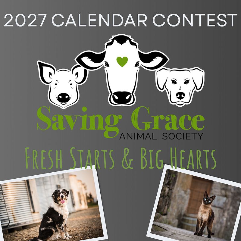 Fresh Starts & Big Hearts