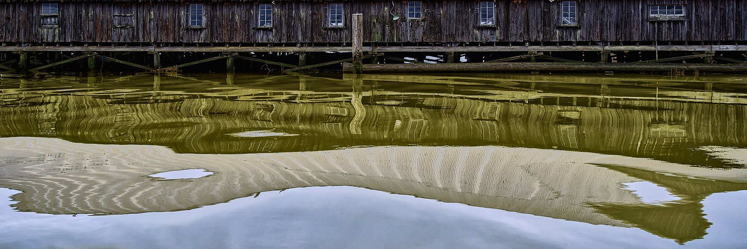 Bright Fame Photography