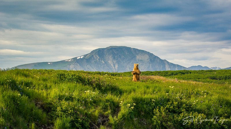 Alaska